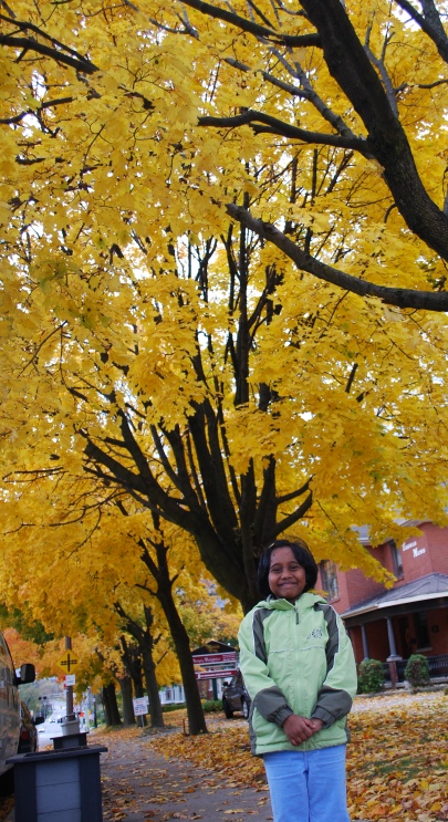 2009/FALL11.JPG