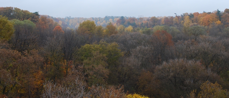 2009/FALL14.JPG