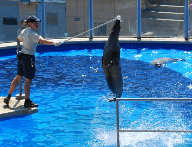 2010/q1027.jpg