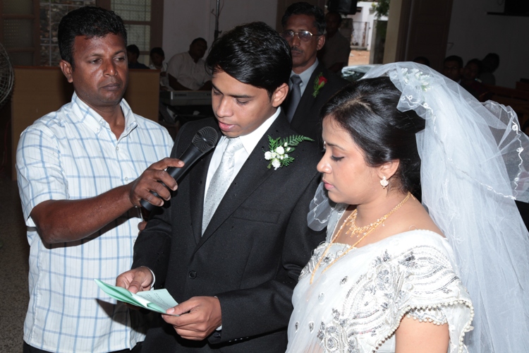 2011/PGWED11436.JPG