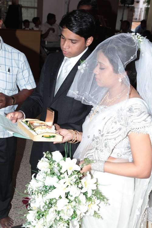 2011/PGWED11436.JPG